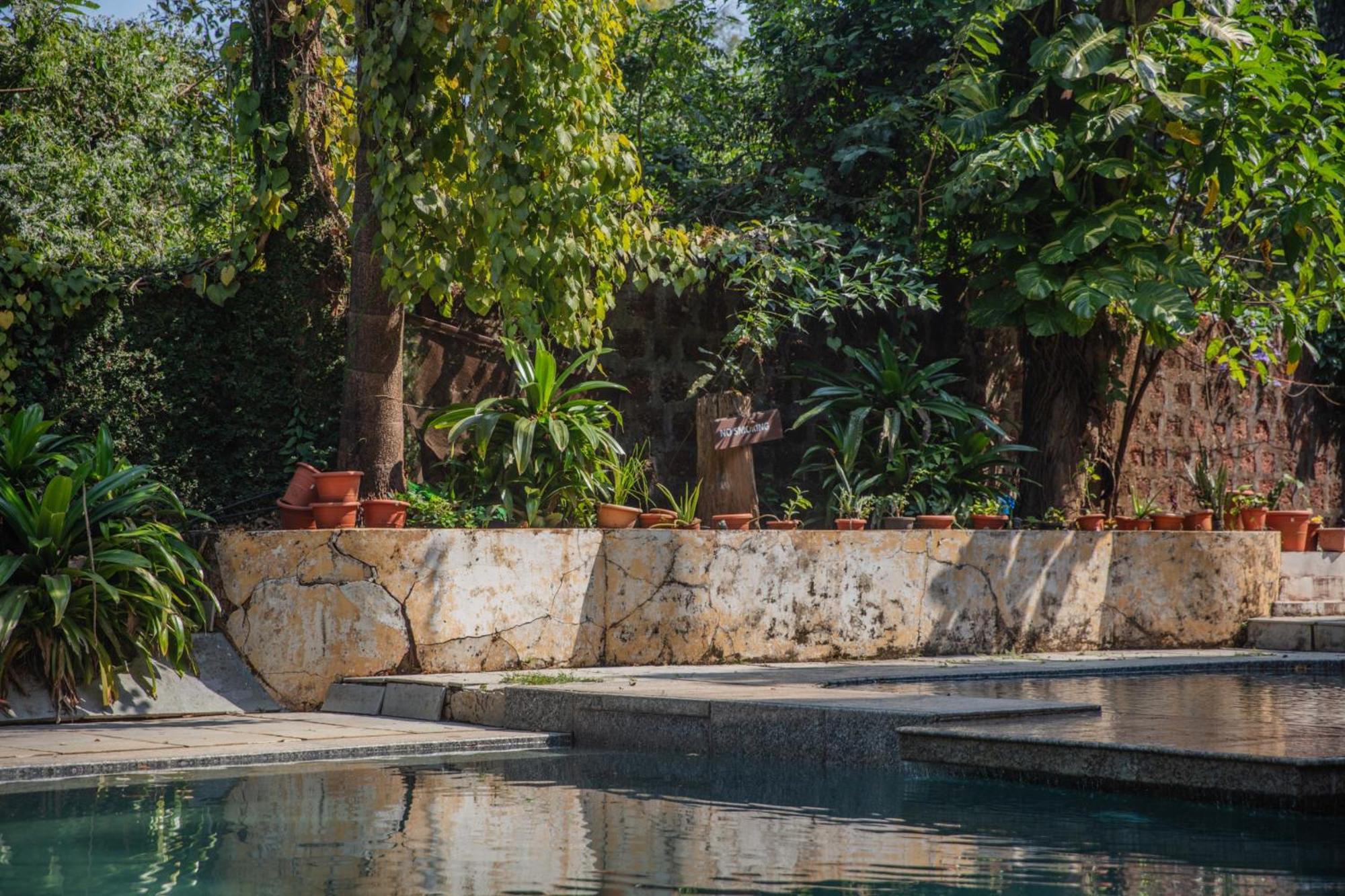 Satori Wellness Cottages I Yoga, Sauna, Ice Bath, Holistic Therapies & More Mandrem Exterior photo