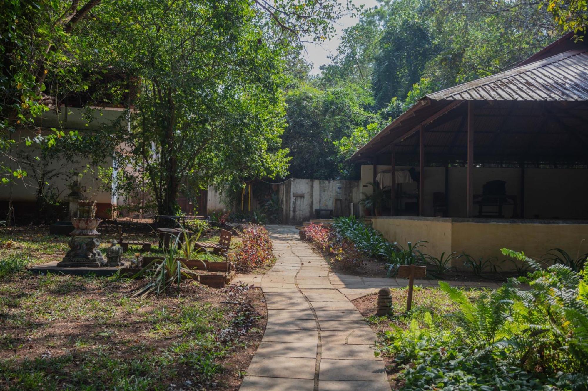 Satori Wellness Cottages I Yoga, Sauna, Ice Bath, Holistic Therapies & More Mandrem Exterior photo