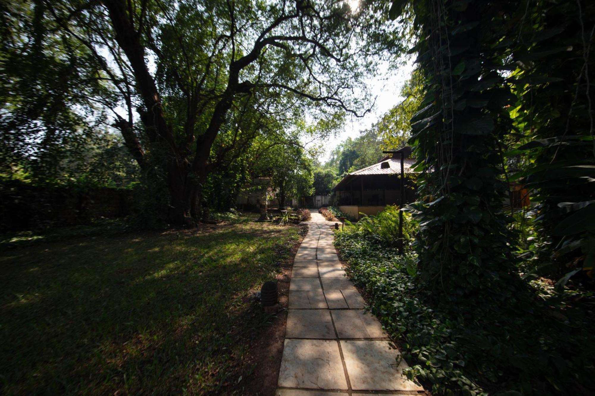 Satori Wellness Cottages I Yoga, Sauna, Ice Bath, Holistic Therapies & More Mandrem Exterior photo