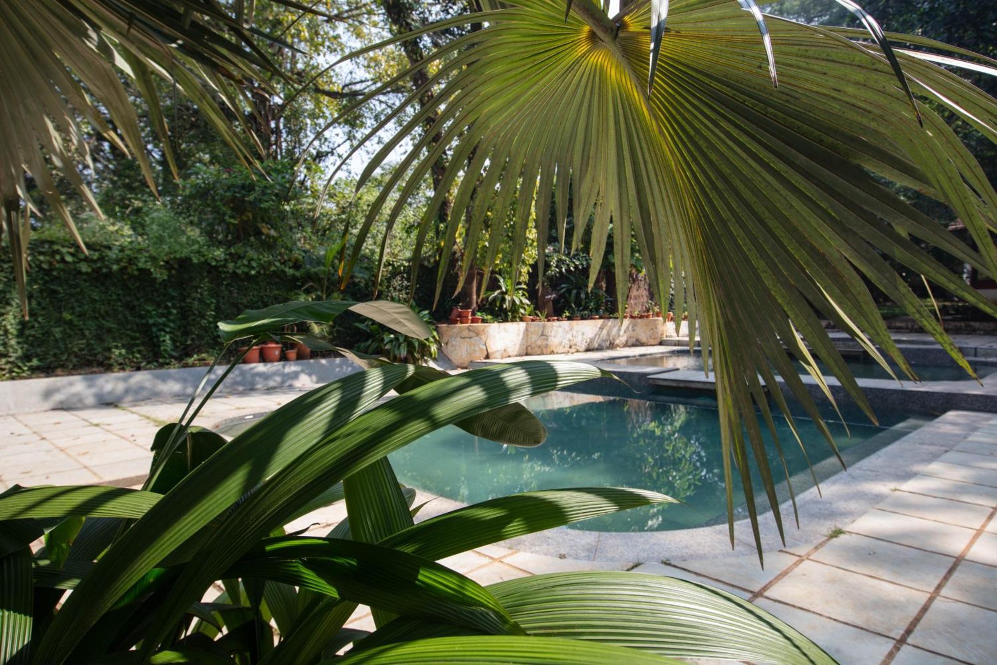 Satori Wellness Cottages I Yoga, Sauna, Ice Bath, Holistic Therapies & More Mandrem Exterior photo